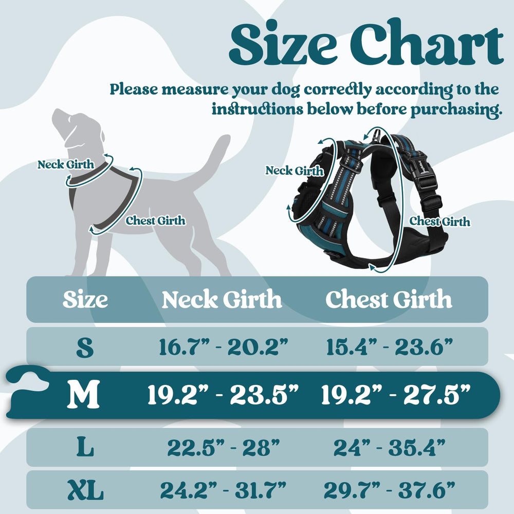 Rabbitgoo breathable air mesh harness keeps pets cool on outings