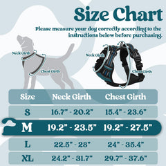 Rabbitgoo breathable air mesh harness keeps pets cool on outings