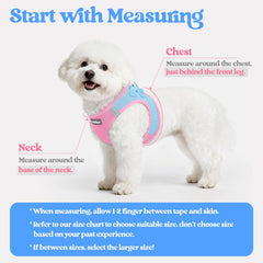 Rabbitgoo dog harness breathable mesh keeps small dogs cool on outdoor adventures.