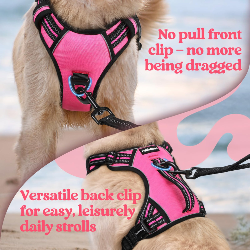 Rabbitgoo breathable mesh keeps dogs cool during outdoor activities