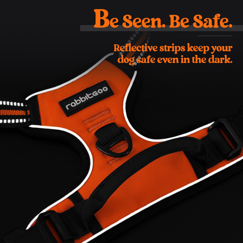 Rabbitgoo harness with bright reflective strips for safer night walks.
