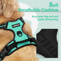 Rabbitgoo dog harness with chest and back clips enables safe control during training and daily strolls.