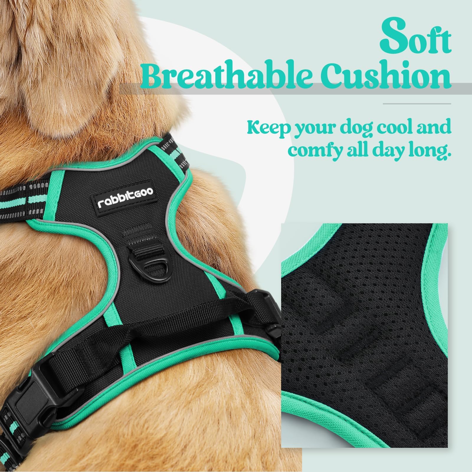 Rabbitgoo chest-clip in use to curb pulling during training