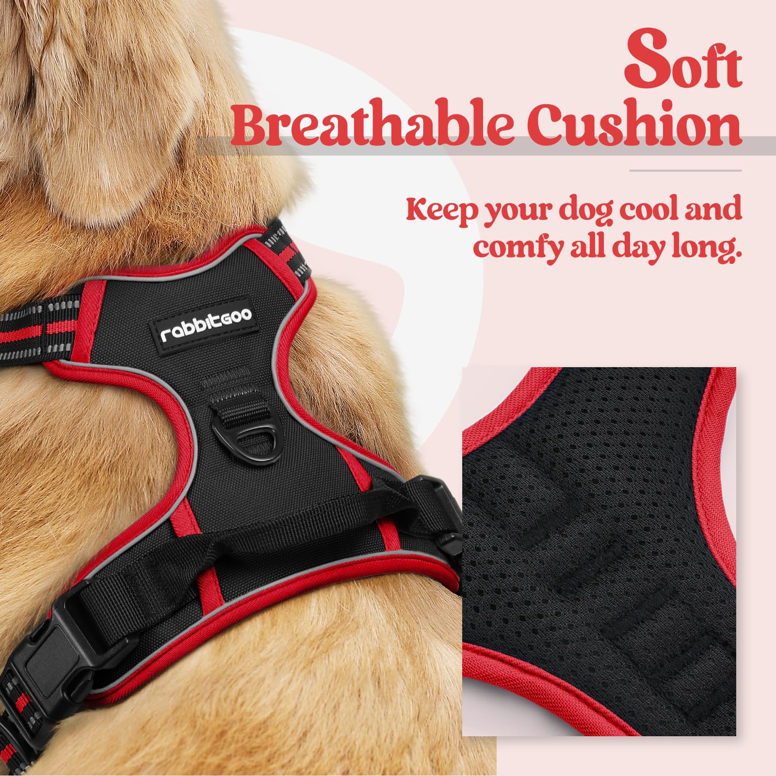 Rabbitgoo chest clip detail for no-pull control during walks.