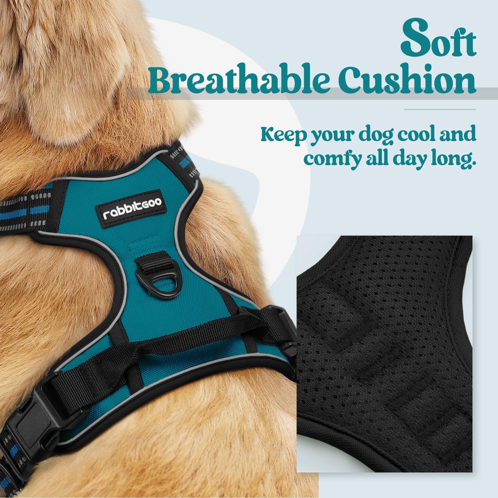 Rabbitgoo chest clip demonstrates no-pull control during leash training.
