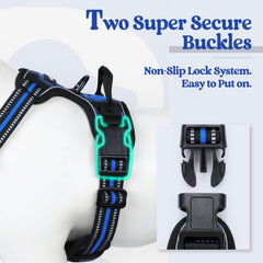 Rabbitgoo chest-clip training feature to reduce pulling during walks.