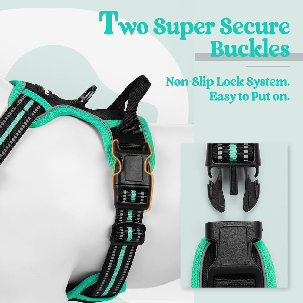 Rabbitgoo chest-clip training harness helps reduce pulling during walks