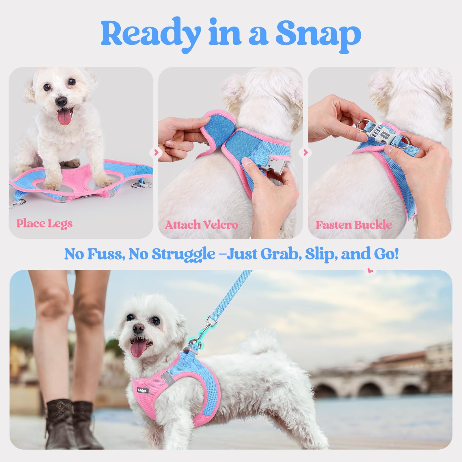 Rabbitgoo color-matched blue and pink harness for stylish everyday walks.