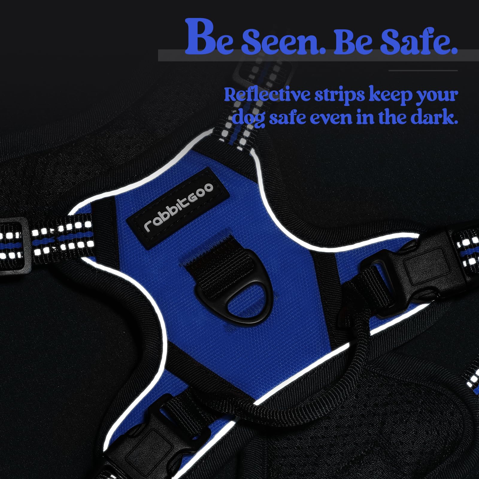 Dazzling blue Rabbitgoo harness adds style to everyday outings.
