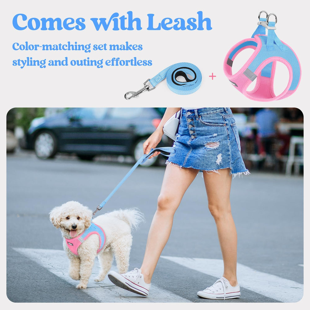 Rabbitgoo harness features dual back D-rings for secure leash control.