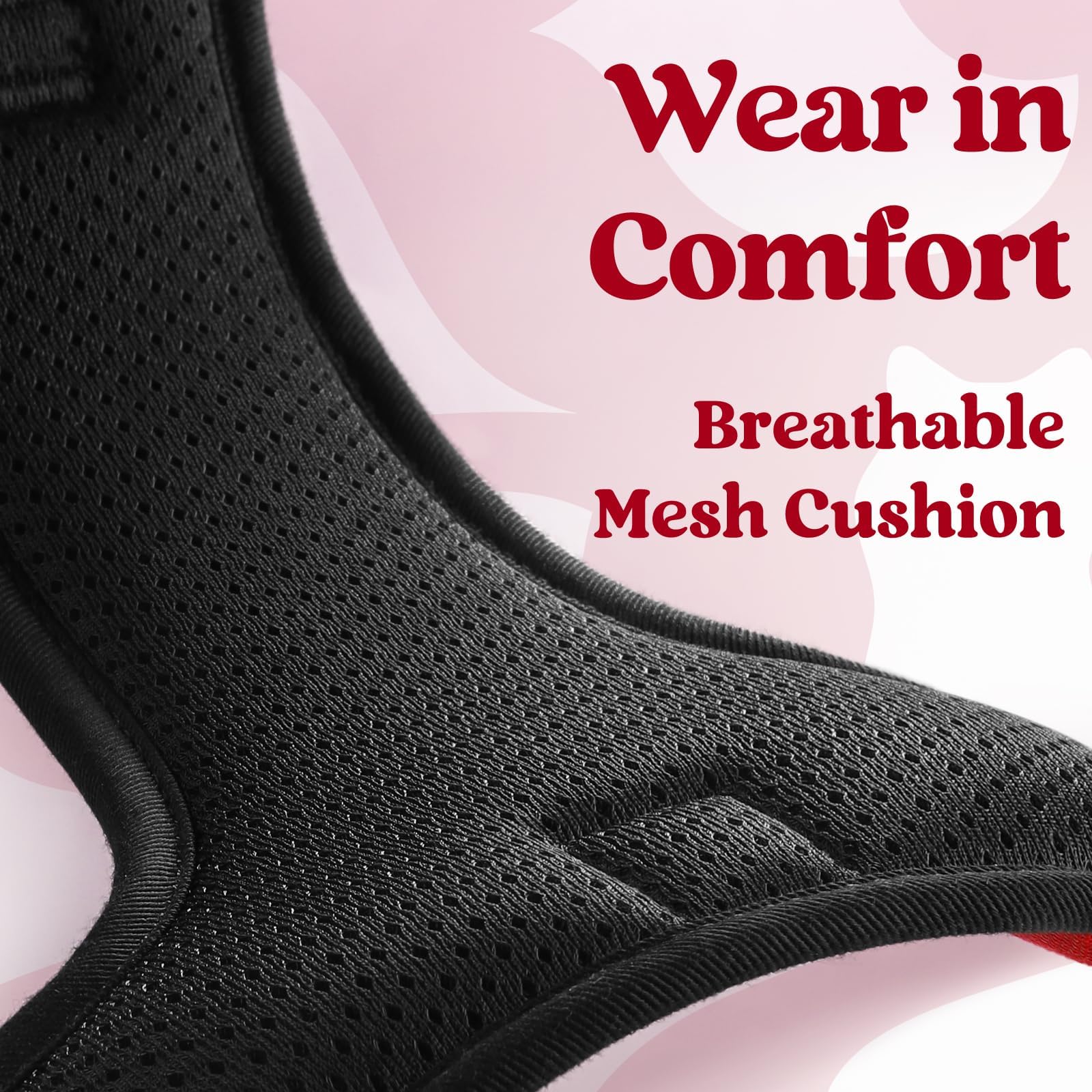 Rabbitgoo dual leash attachment points support varied training setups.