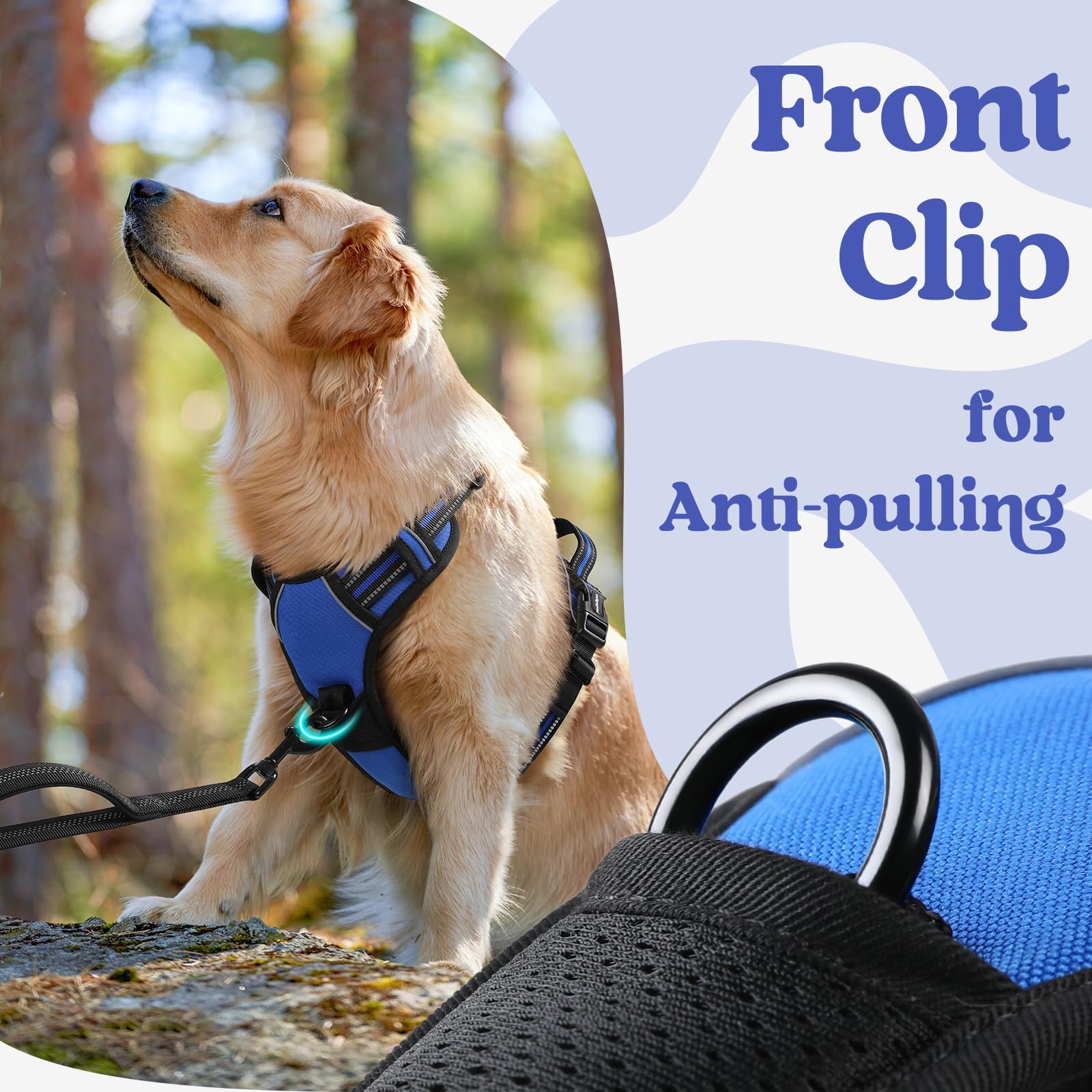 Rabbitgoo dual leash points support walking, running, and training.