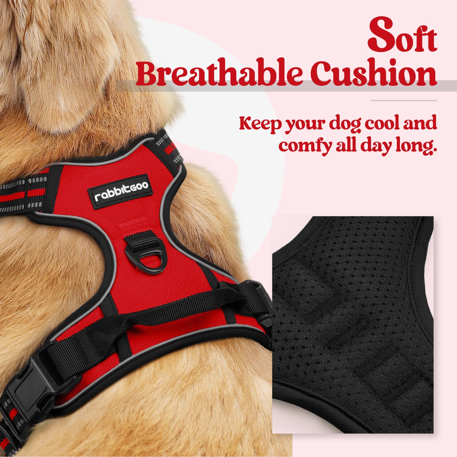 Rabbitgoo harness back view shows dual leash clips for versatile control.