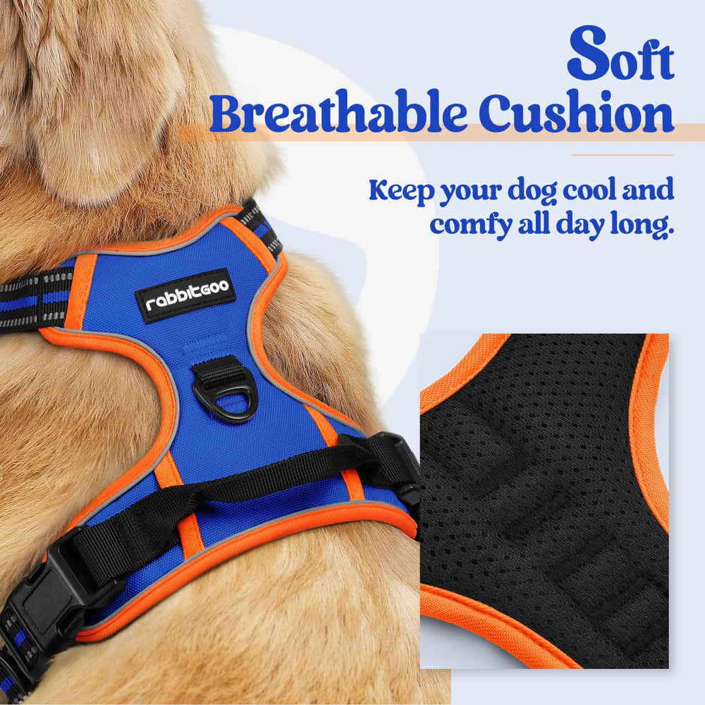 Rabbitgoo harness with dual leash clips for training and everyday outings.