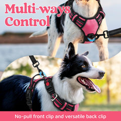Rabbitgoo easy control handle with front and back leash clips