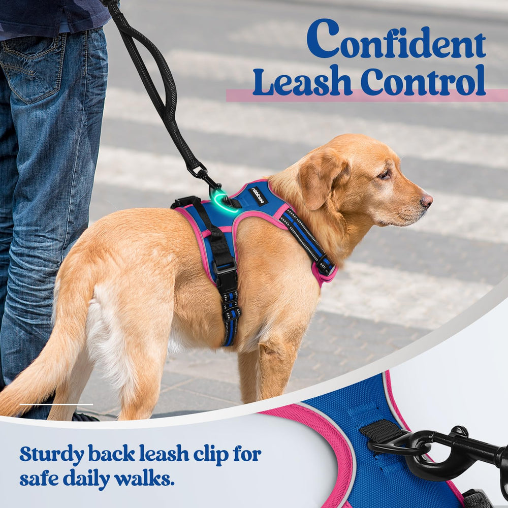 Rabbitgoo easy control handle for quick assistance