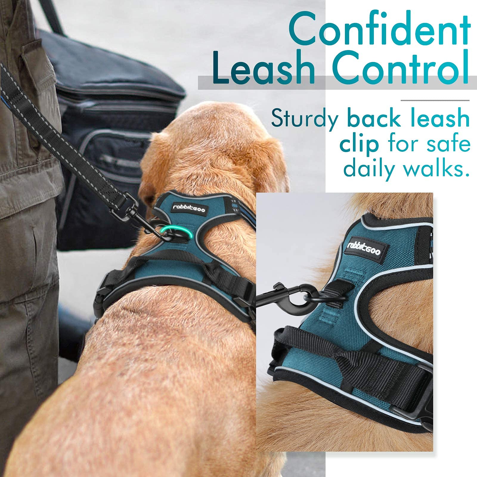 Easy on-off buckles on Rabbitgoo harness for quick fittings