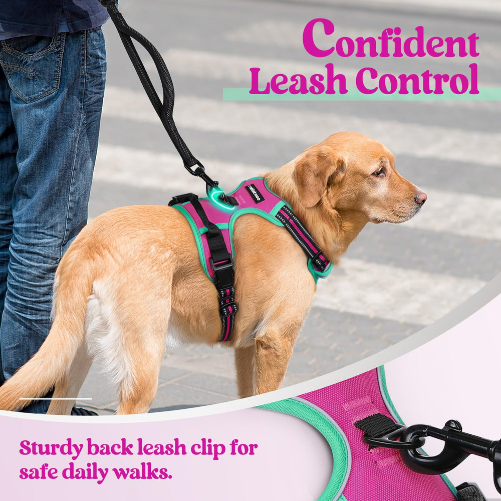 Rabbitgoo easy-on-off buckles simplify harnessing.