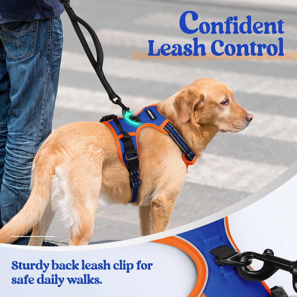 Rabbitgoo easy on off buckles simplify dressing your dog.
