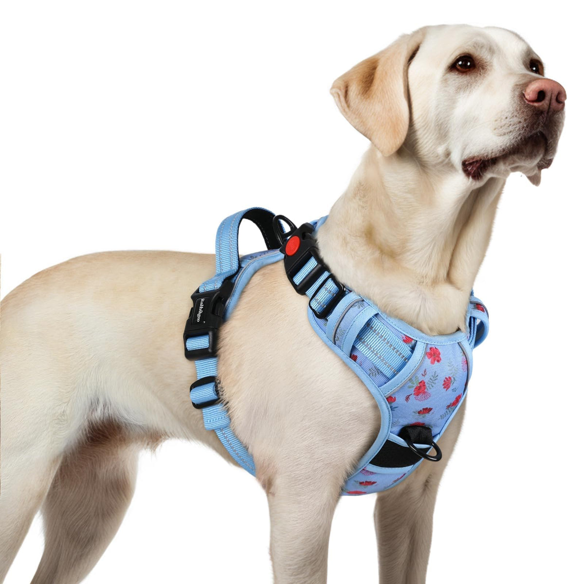Rabbitgoo floral blue harness front view, comfortable everyday wear for large dogs