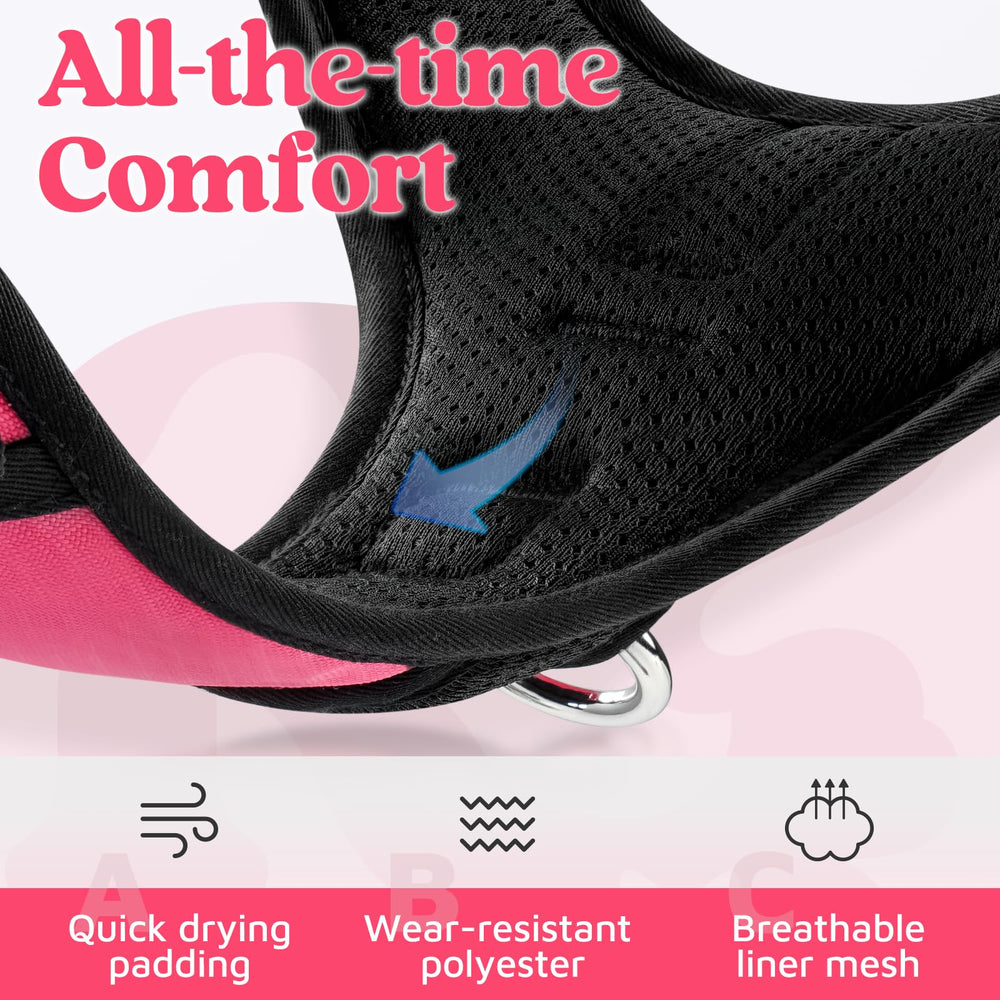 Rabbitgoo harness with four adjustable sliders for a precise fit