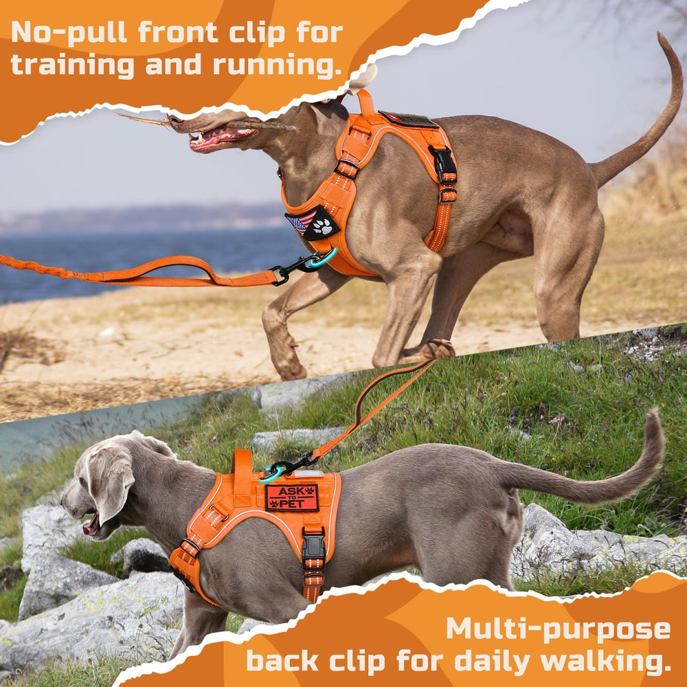 Rabbitgoo four-point adjustment ensures a snug fit for large dogs