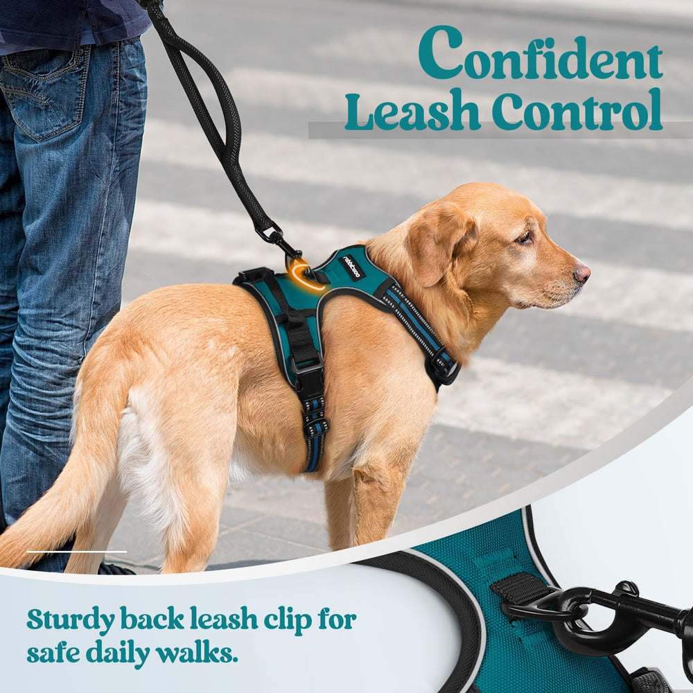 Rabbitgoo four-strap adjustment ensures a snug, growth-friendly fit.