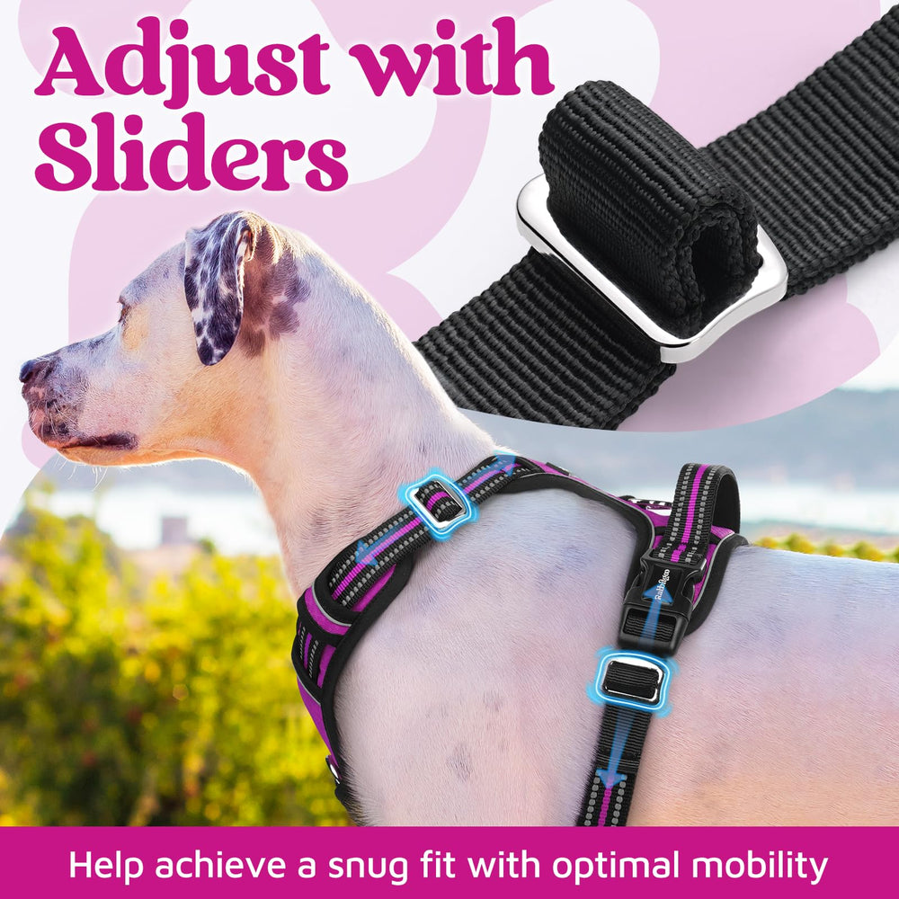 Rabbitgoo harness with front and back clips for versatile control.