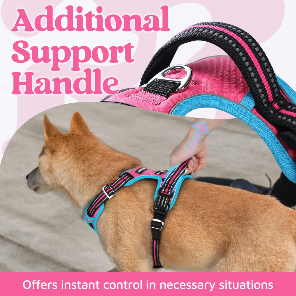 Rabbitgoo front and back leash clips for versatile training options.