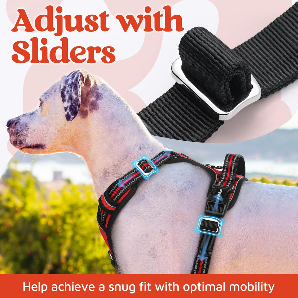 Rabbitgoo harness features front and back leash clips for versatile control.
