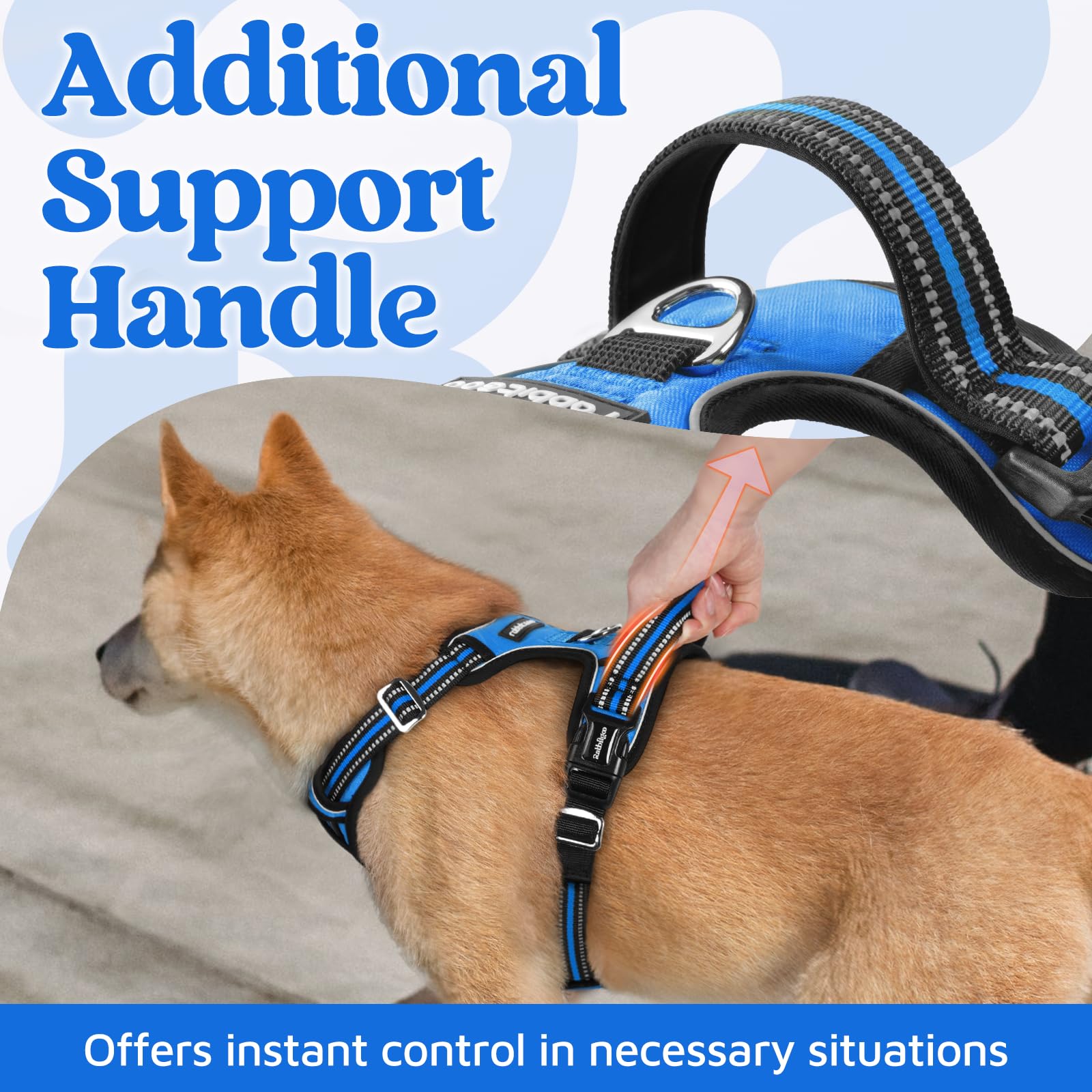 Rabbitgoo harness with front and back leash clips for versatile training and walking