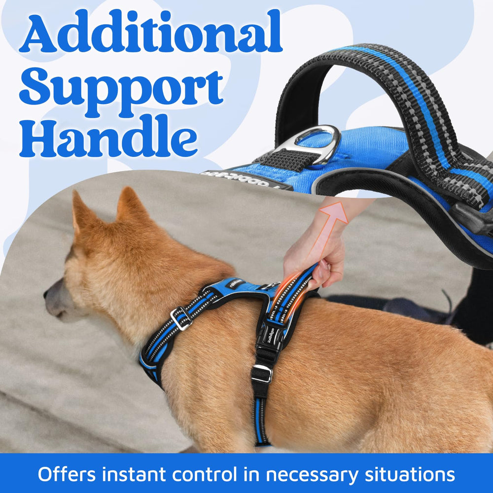 Rabbitgoo harness with front and back leash clips for versatile training and walking