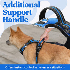 Rabbitgoo harness with front and back leash clips for versatile training and walking