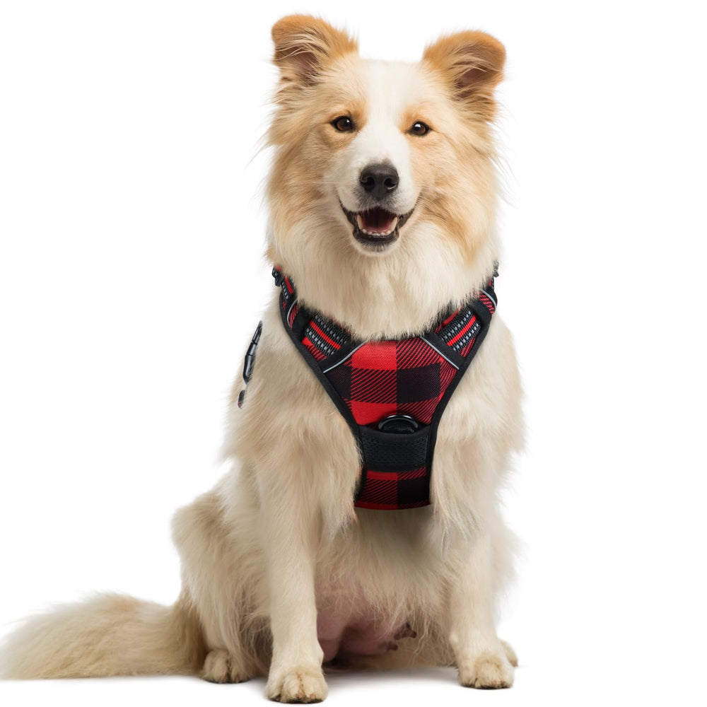Rabbitgoo dog harness front clip for no-pull control during walks