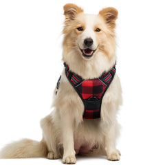 Rabbitgoo dog harness front clip for no-pull control during walks
