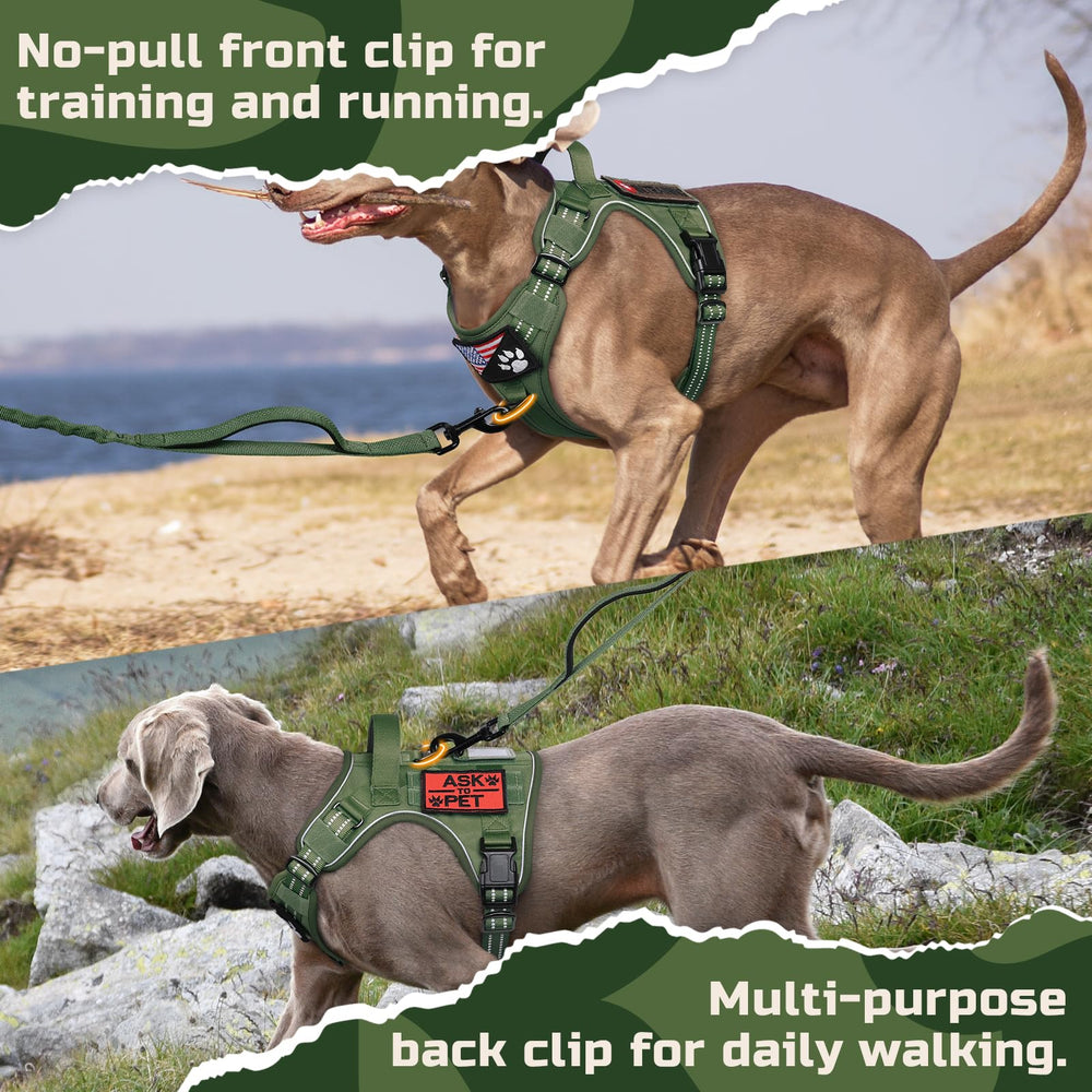 Rabbitgoo front no-pull clip helps reduce pulling during training and casual walks.