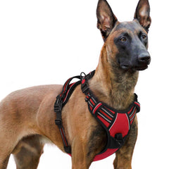 Rabbitgoo dog harness front view with three buckles for quick wearing.