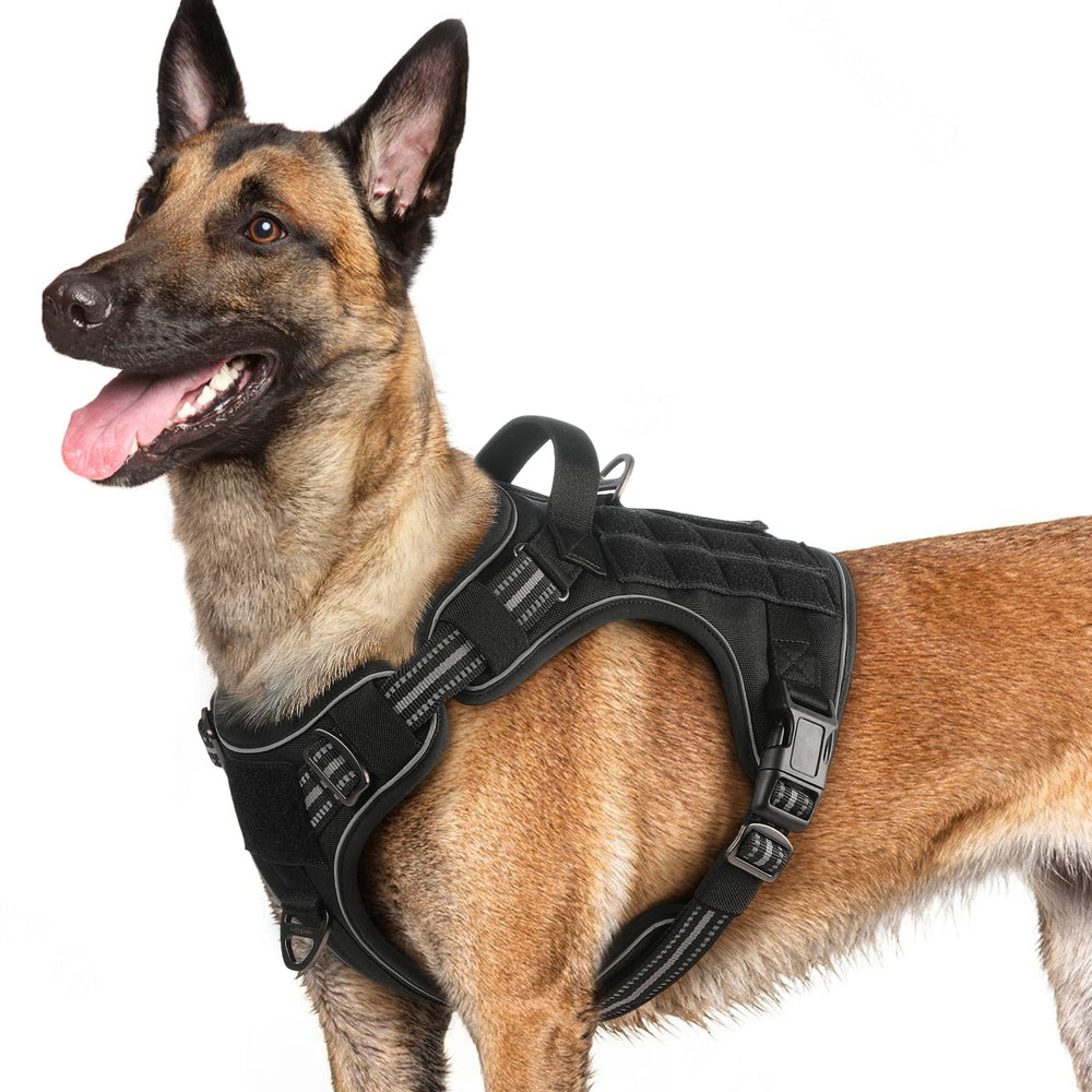 Rabbitgoo dog harness front view with no-pull front clip.
