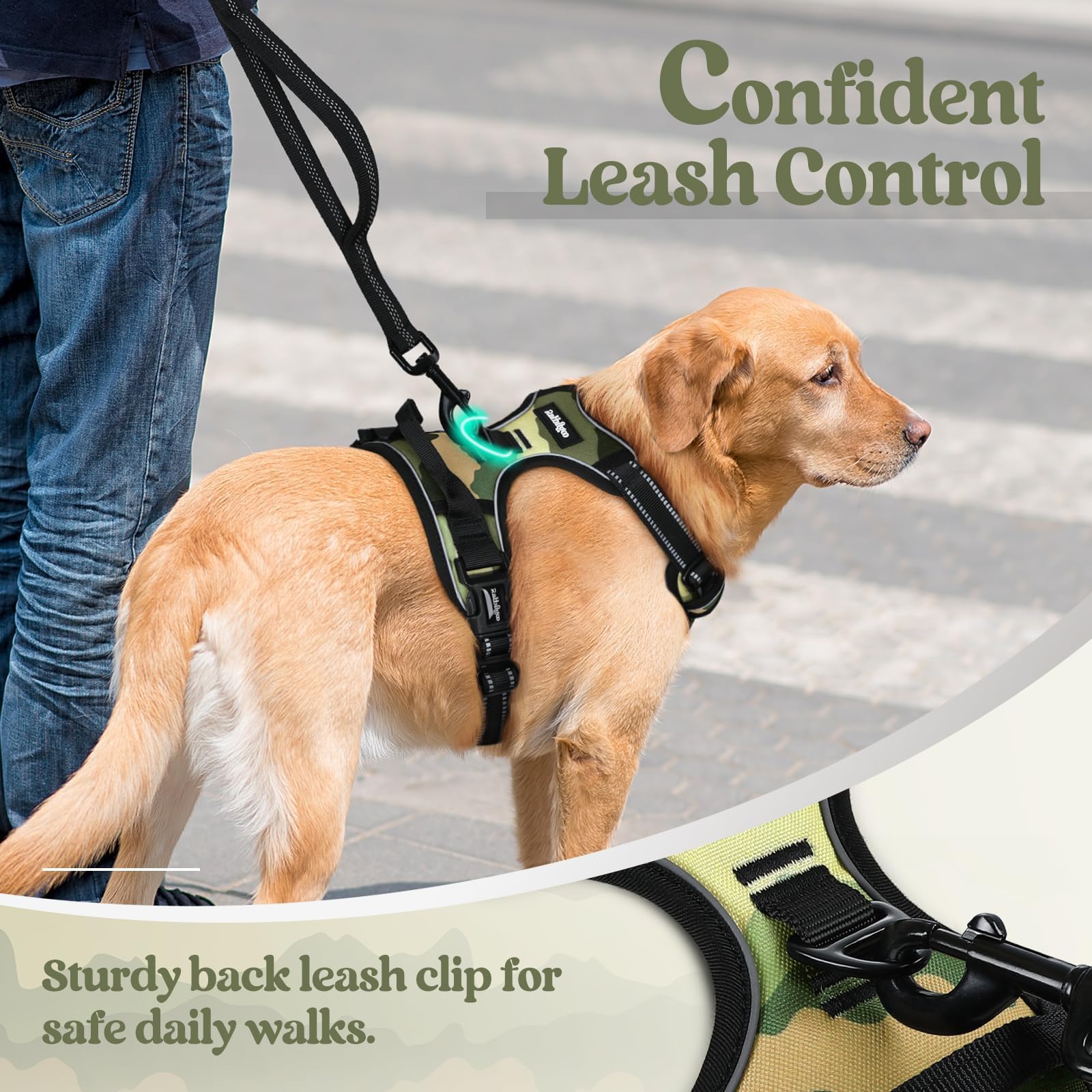 Rabbitgoo easy-on/off buckles simplify fitting and removal.