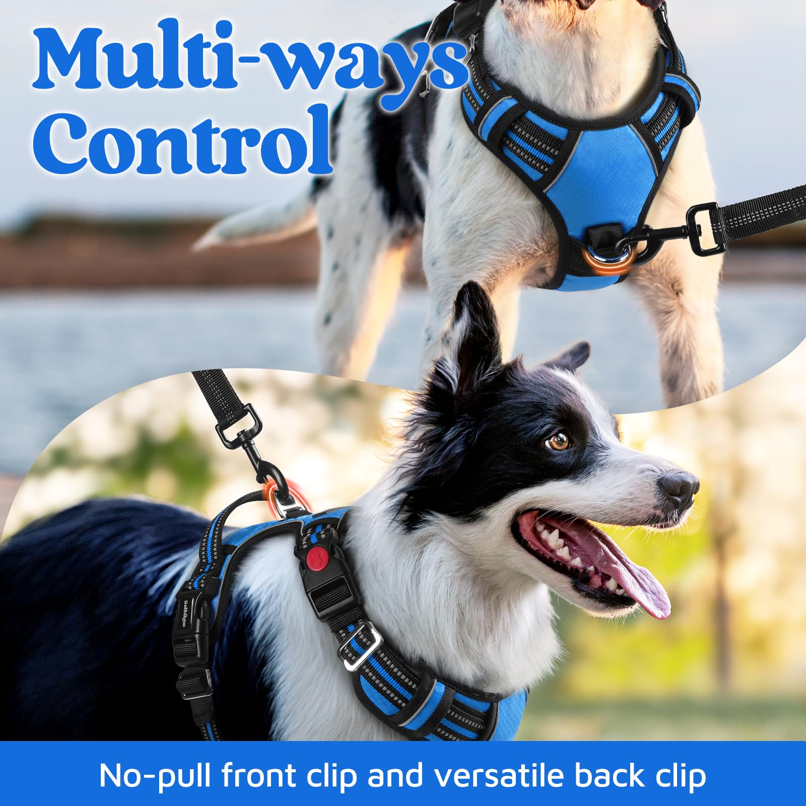 Rabbitgoo harness handle offering secure control during crowded outings