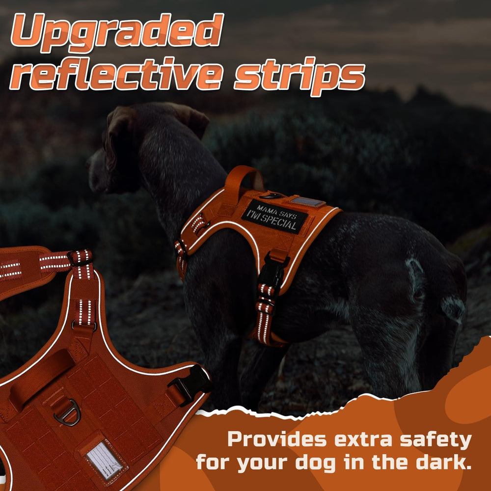 Rabbitgoo ID card slot area for quick identification during adventures