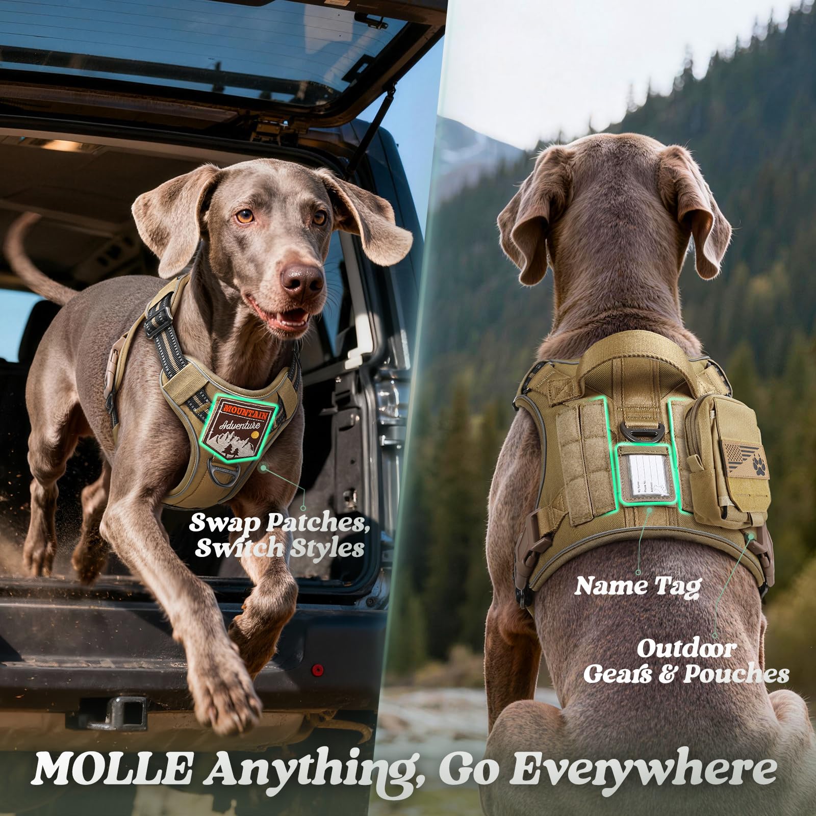 Removable middle slot for ID card keeps identification handy.