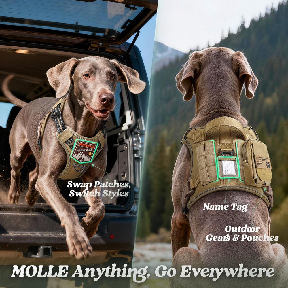 Removable middle slot for ID card keeps identification handy.