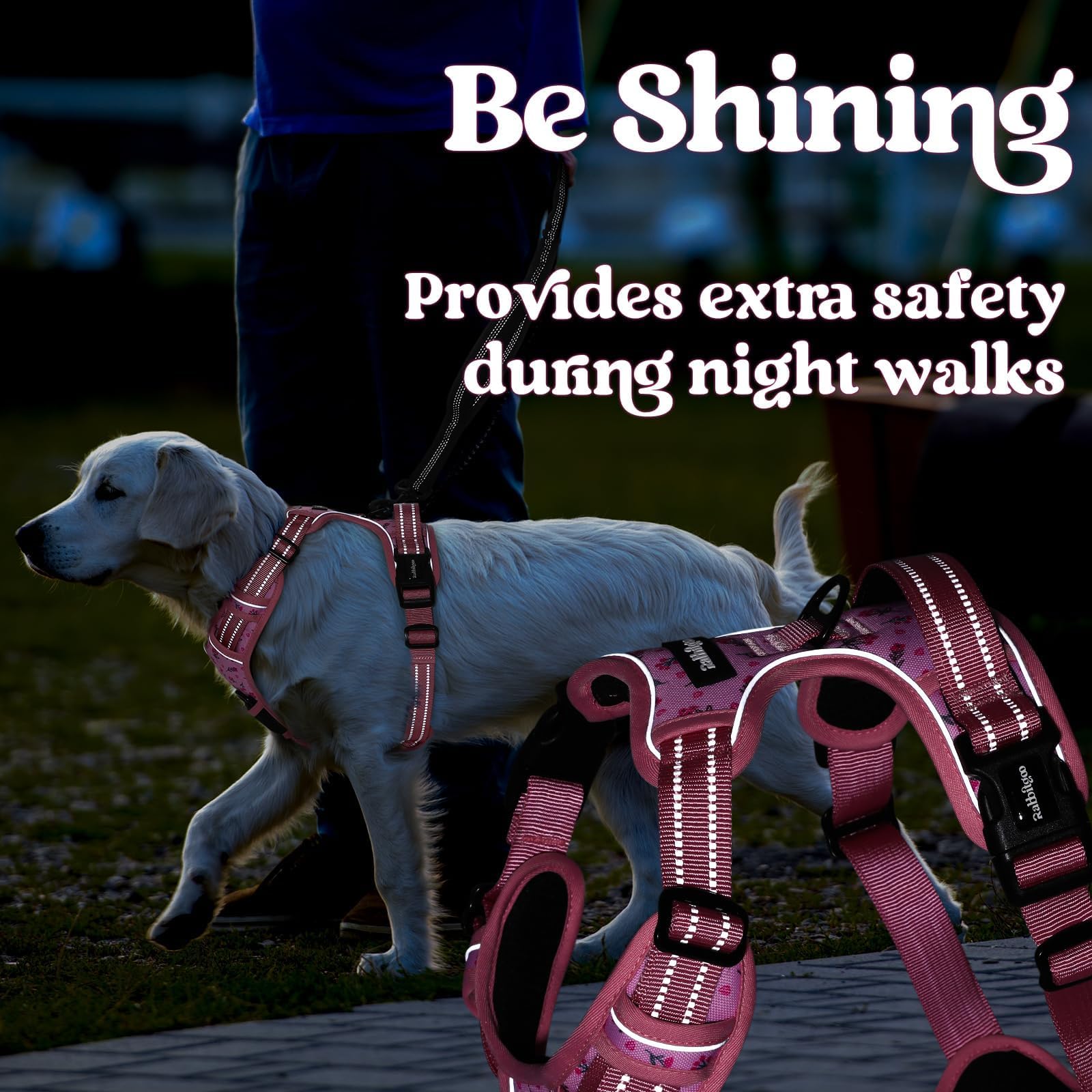 Rabbitgoo floral pink harness in use during a neighborhood stroll.