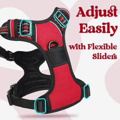 Rabbitgoo harness with breathable mesh keeps dogs cool during walks.