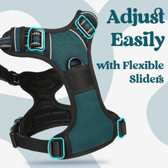 Rabbitgoo harness control handle for precise guidance and lifting assistance.