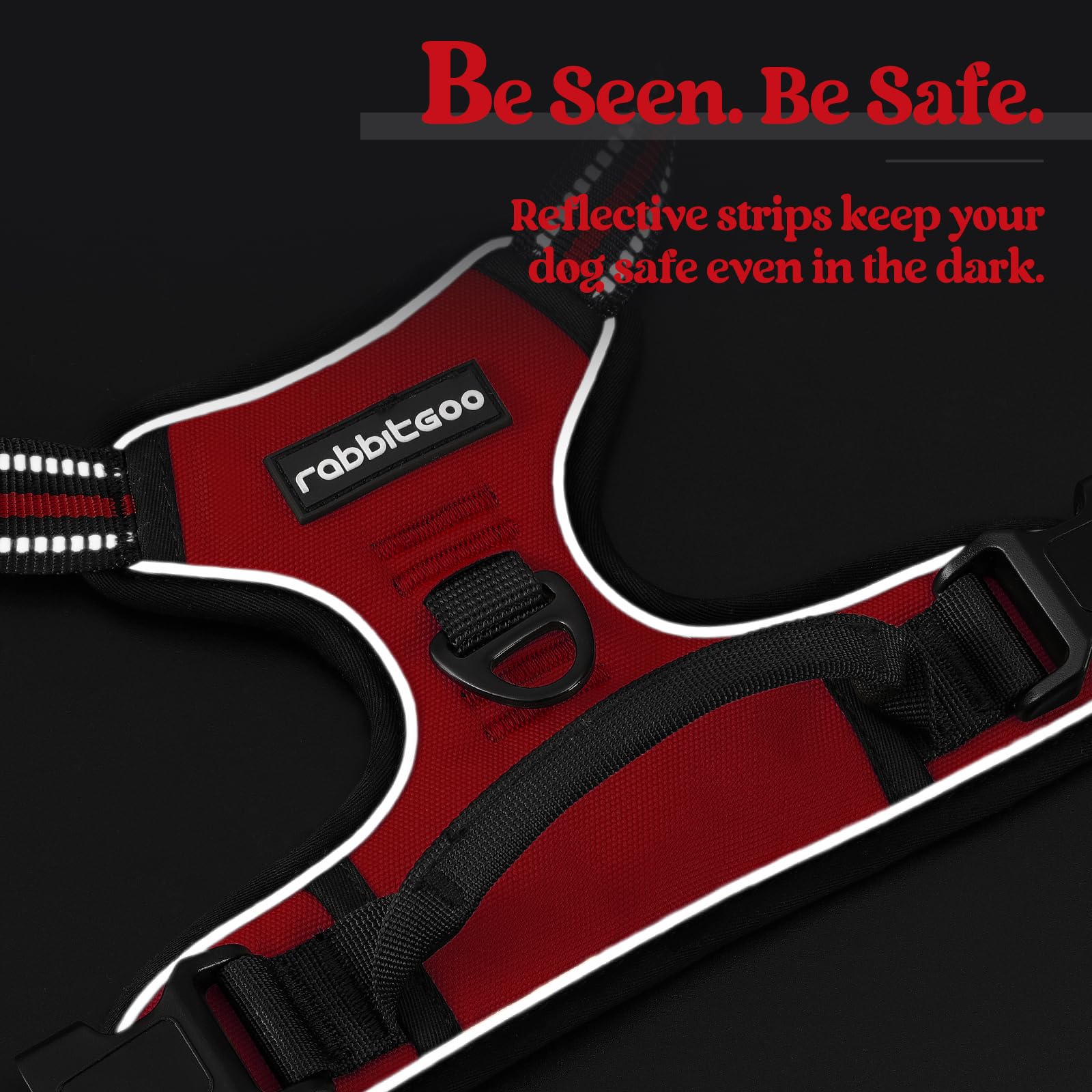Rabbitgoo large-dog design supports comfort during training, hiking, and casual strolls