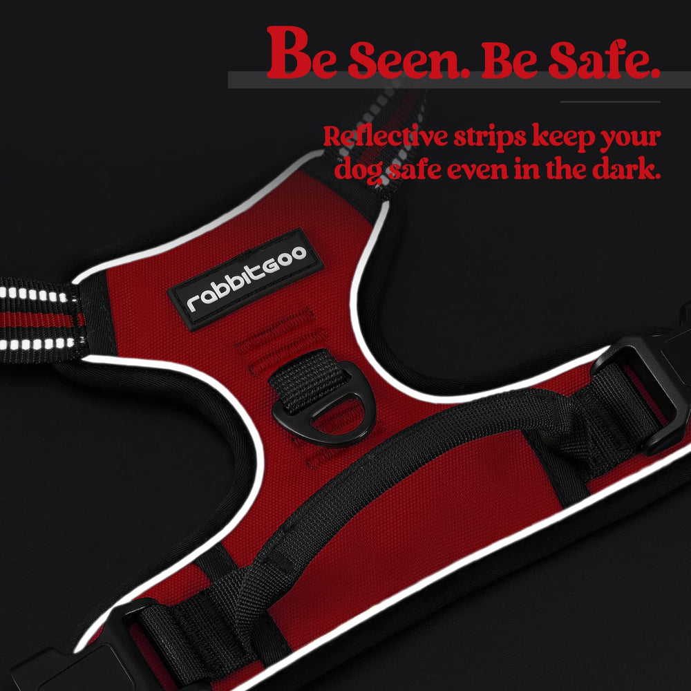 Rabbitgoo large-dog design supports comfort during training, hiking, and casual strolls