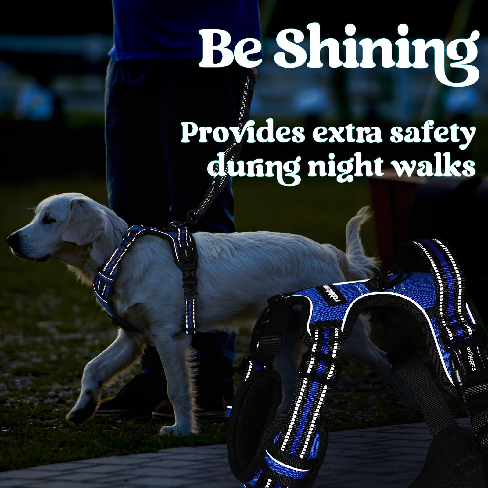 Rabbitgoo large dual leash points support versatile walking and training