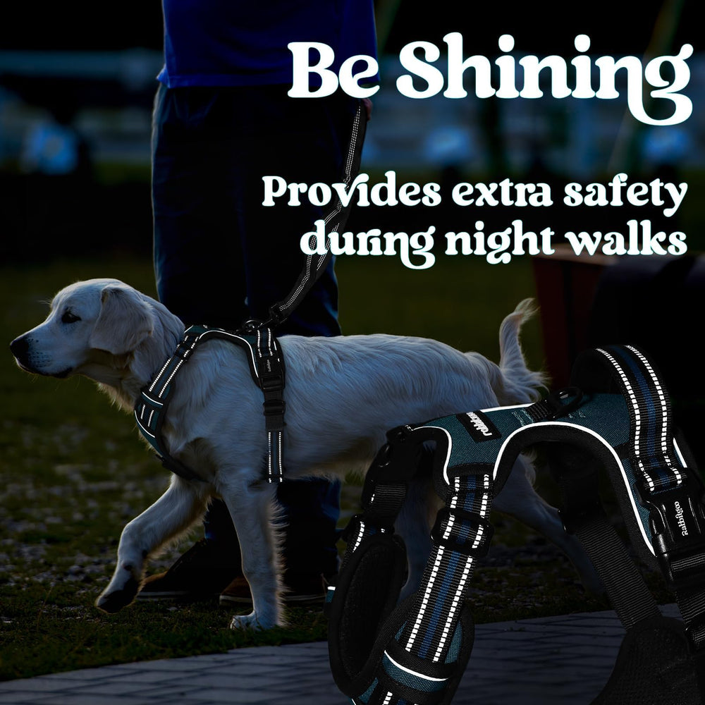 Rabbitgoo high visibility for night walks with bold Blue Coral color.